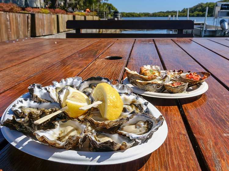  fresh Sydney rock oysters with grilled oysters