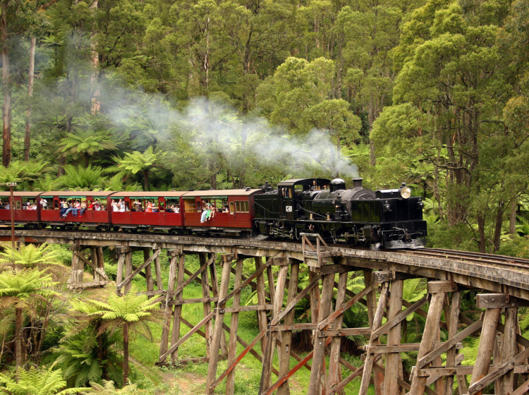 puffing billy train at dandenong ranges