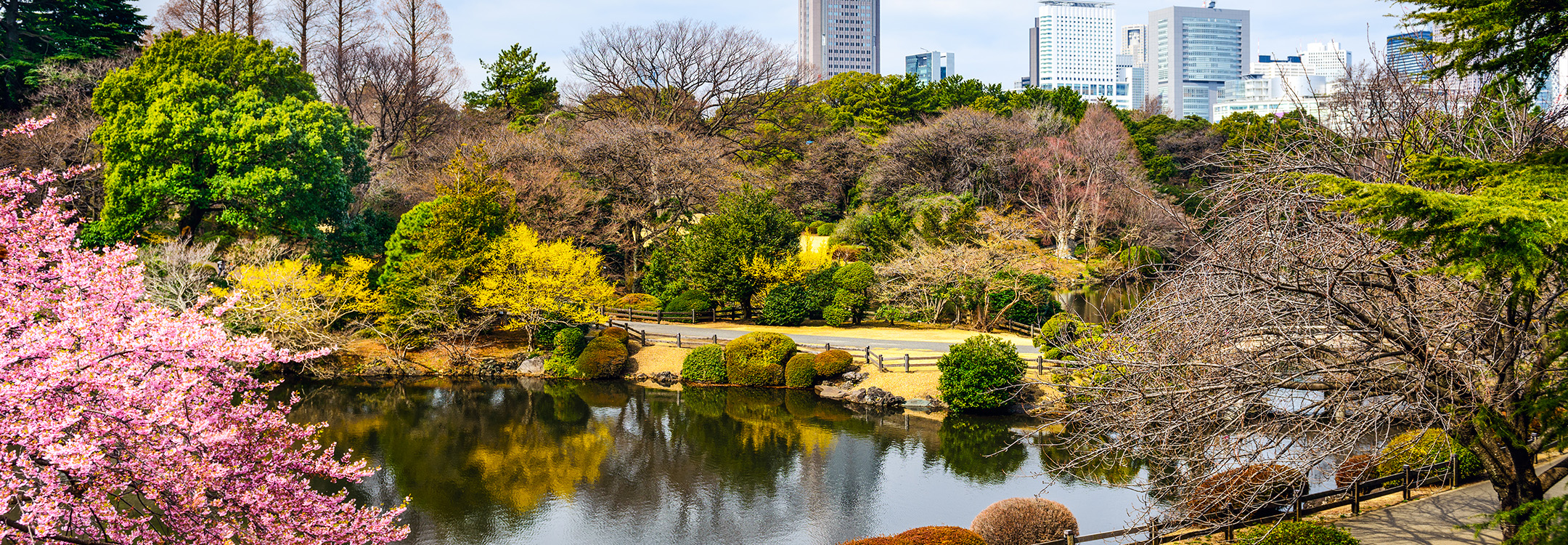 shinjuku gyoen park tokyo japan