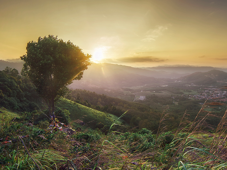 Sunrise at Broga Hill