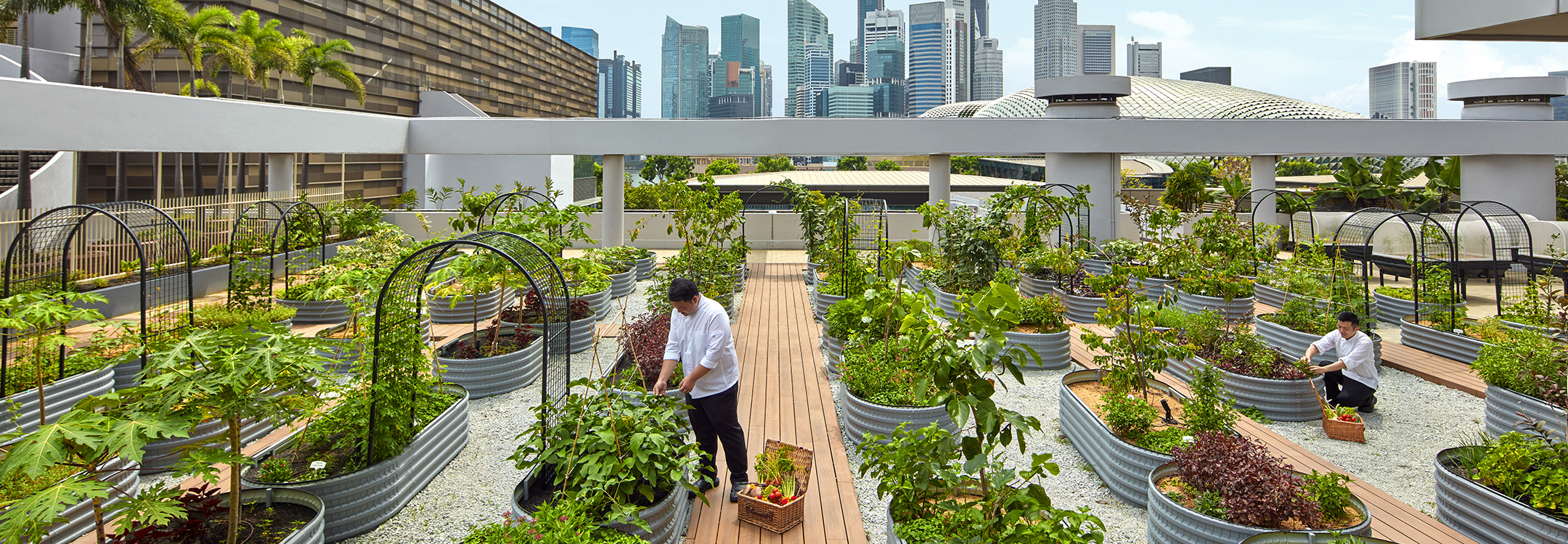 PARKROYAL COLLECTION Marina Bay