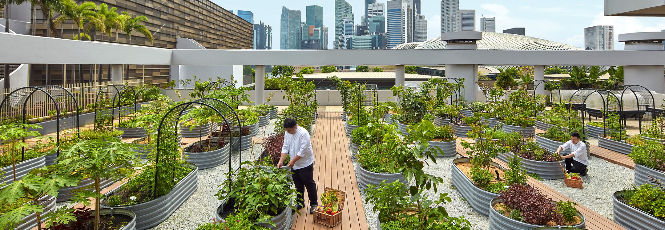 PARKROYAL COLLECTION Marina Bay