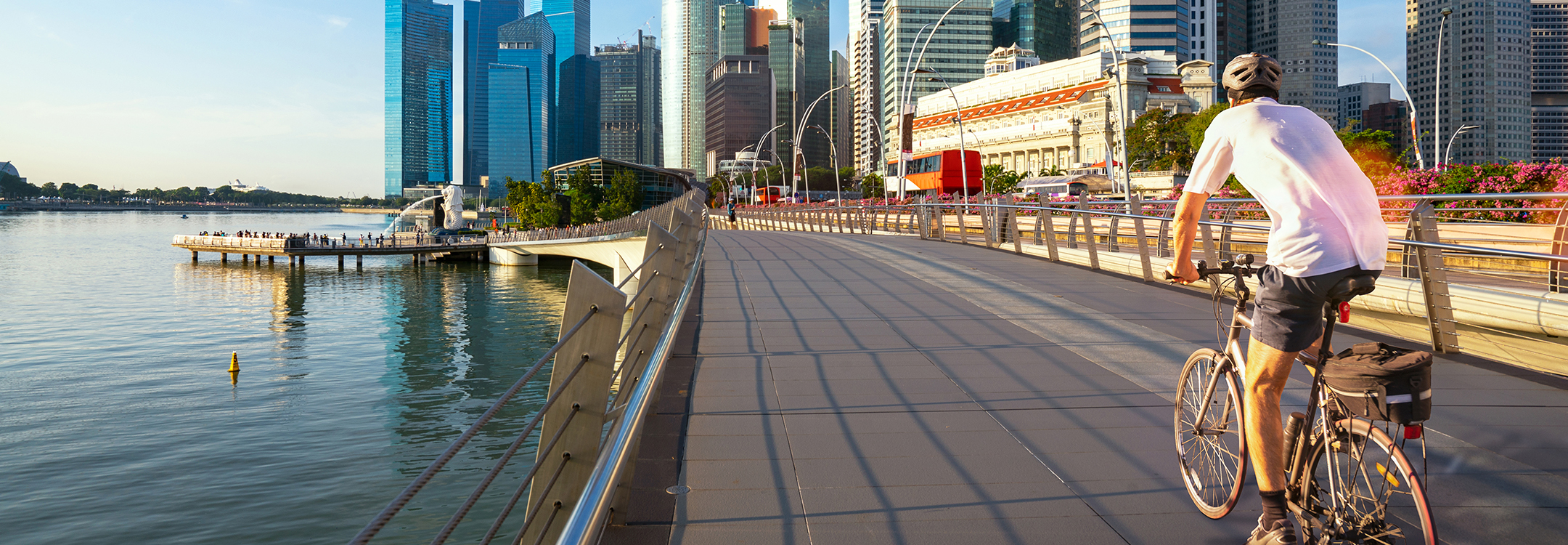 Singapore City Cycling Tour