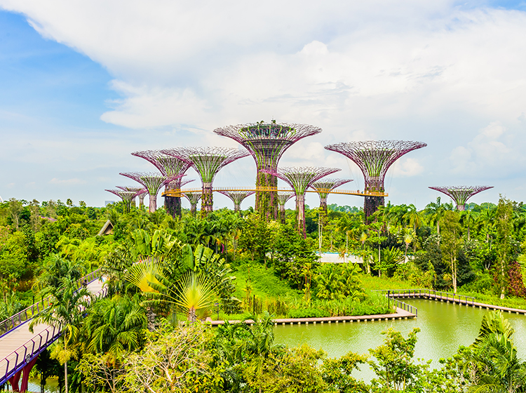 Gardens by the Bay