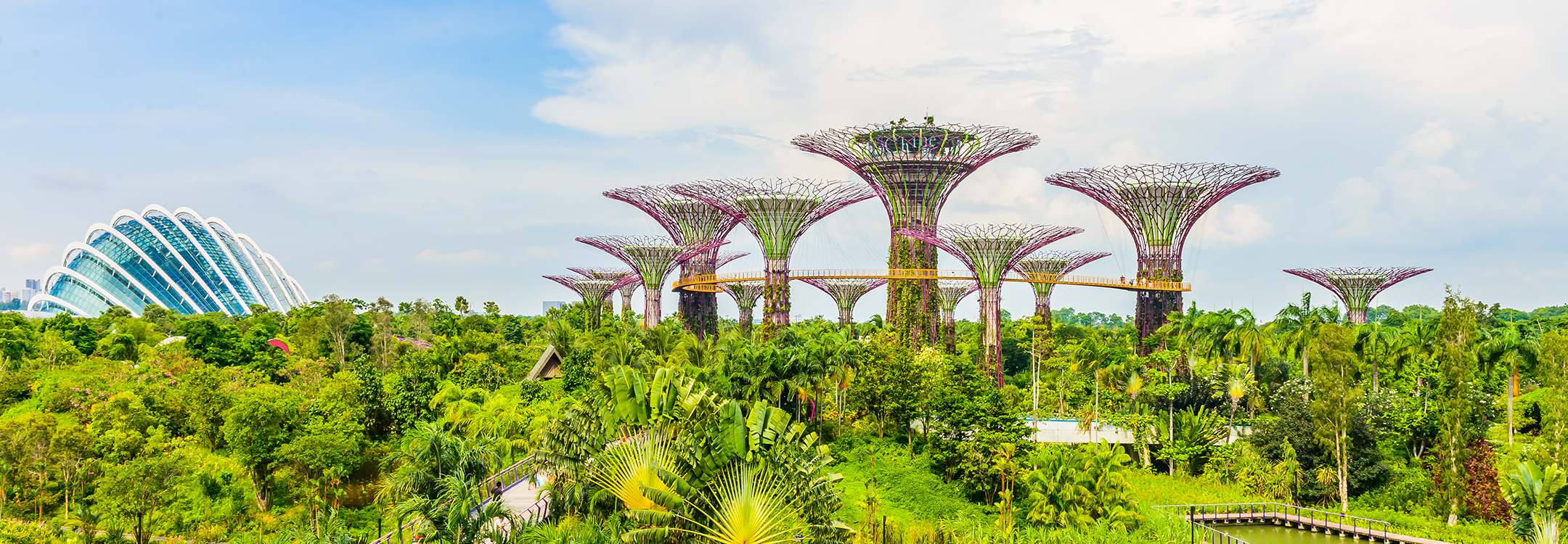 Gardens by the Bay
