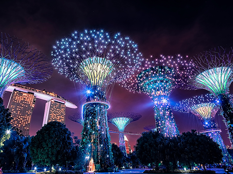 Supertree Grove at night