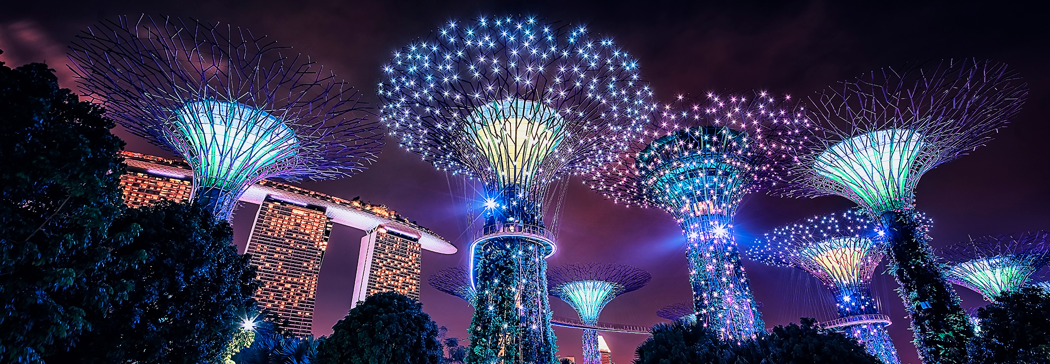 Supertree Grove at night