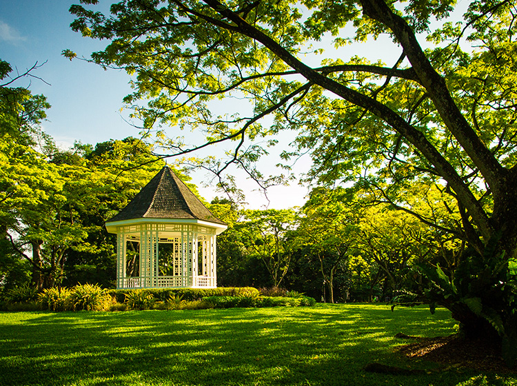 Singapore Botanic Gardens