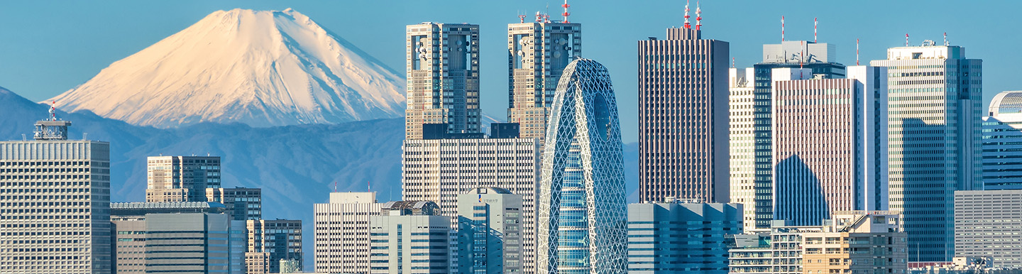 Tokyo skyline day mount fuji 