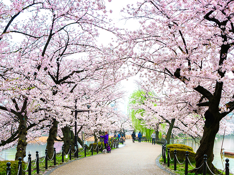 Ueno park Tokyo Japan