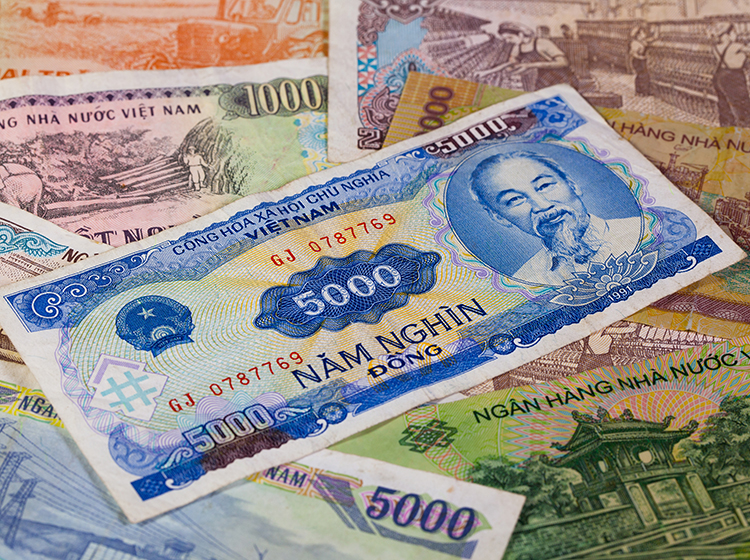 Vietnamese currency