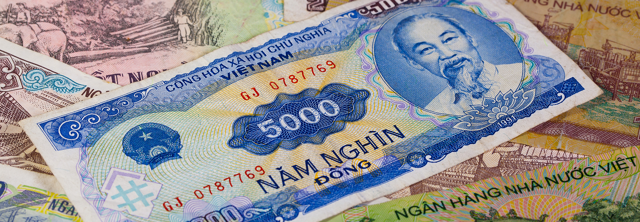 Vietnamese currency