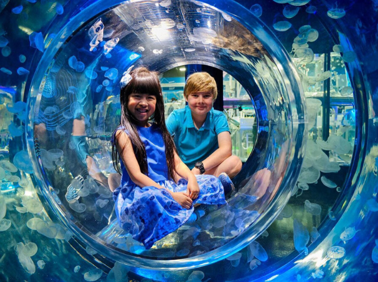 Top Family Activities this Summer 