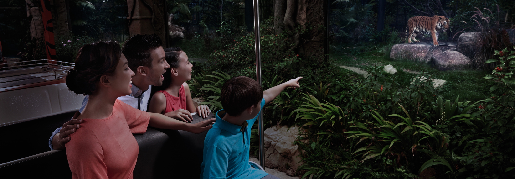 Viewing Night Safari exhibit from a tram