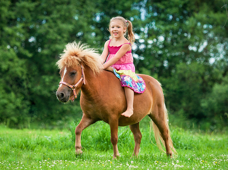 pony-ride-southlands-heritage-farm.jpg