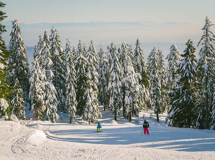 couple skiing