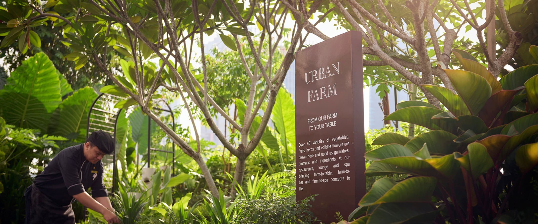 Urban Farm