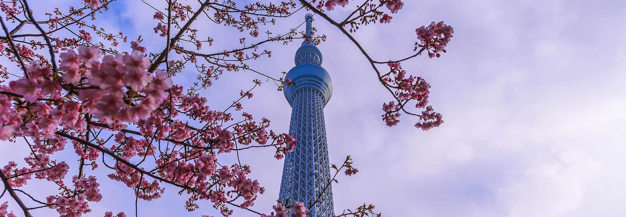  tokyo skytree 