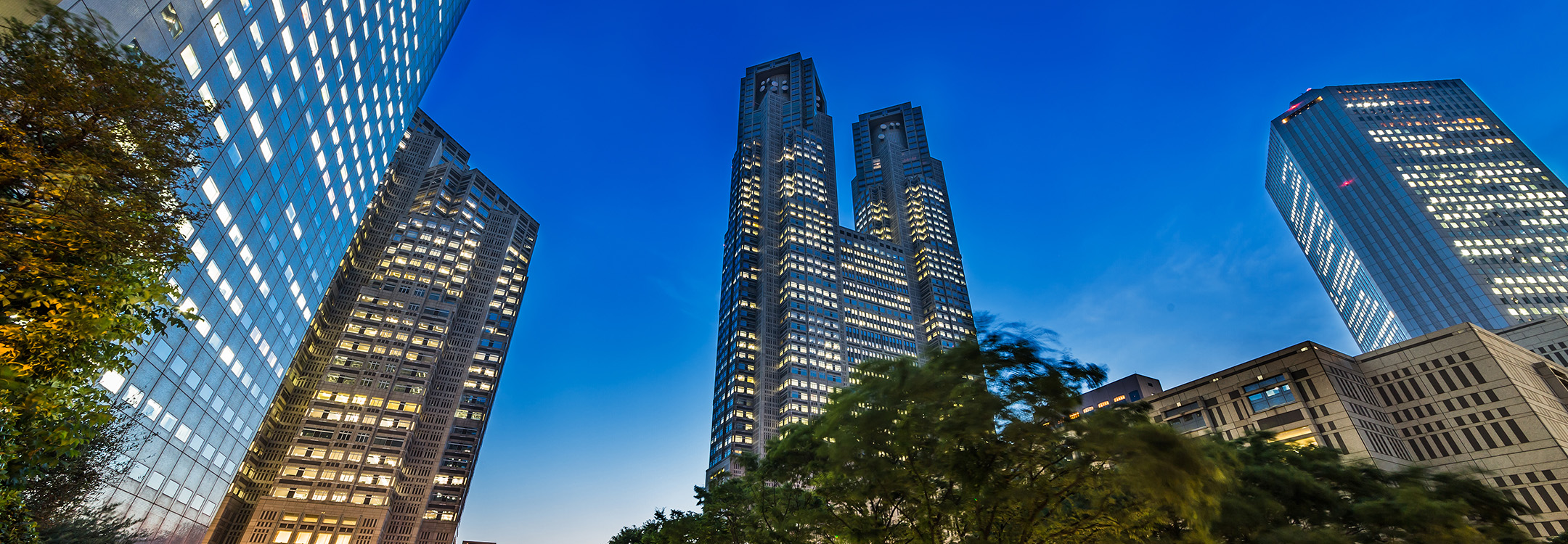 Shinjuku skyscraper view at night