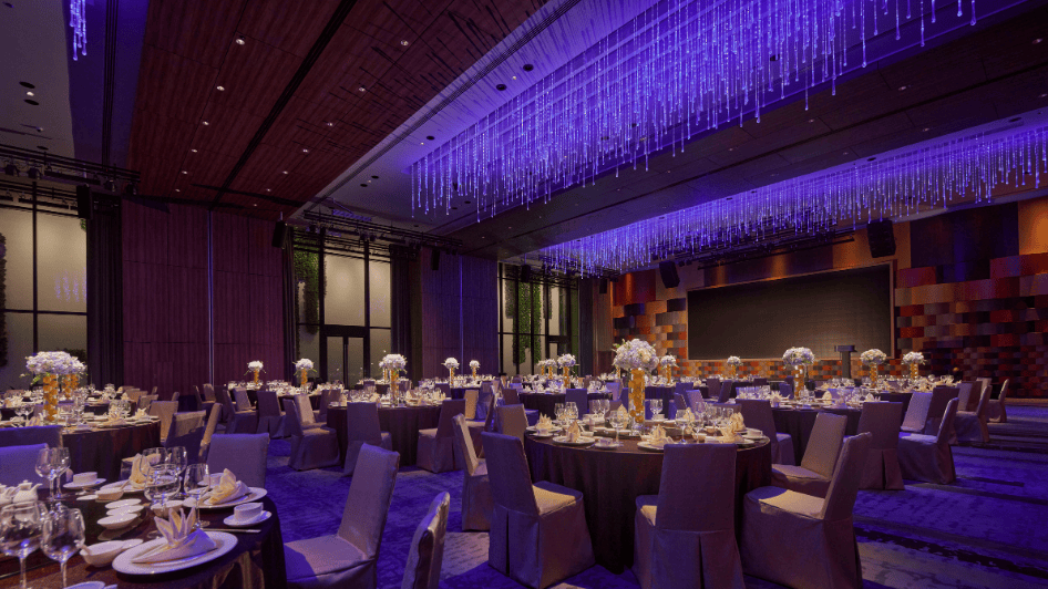 Awards and Gala Celebrations