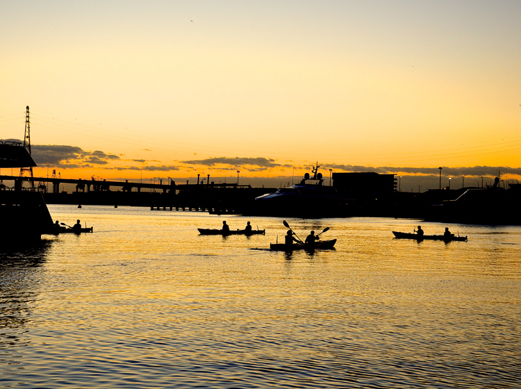 sunset kayaking at victoria harbour in melbourne 