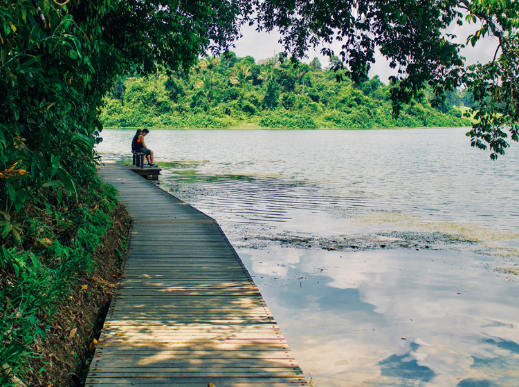macritchie reservoir boardwalk singapore