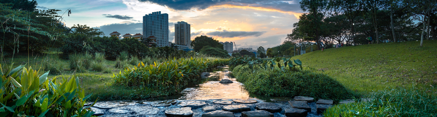 morning greenery at bishan park in singapore	