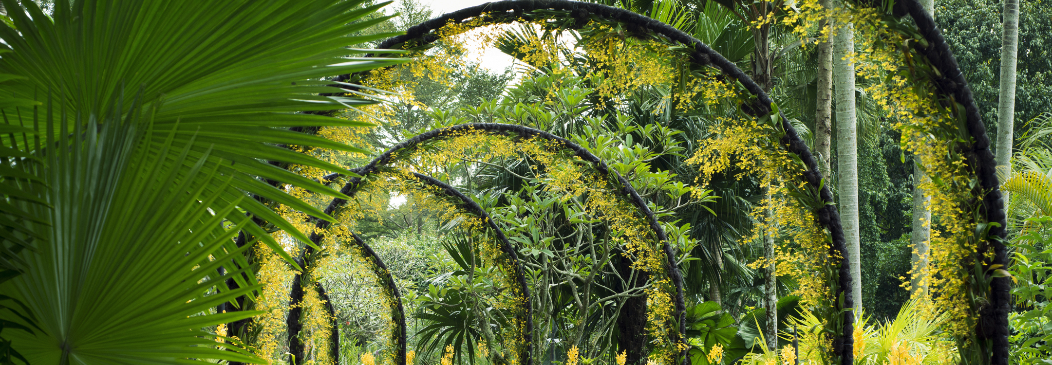  trellis at singapore orchid garden