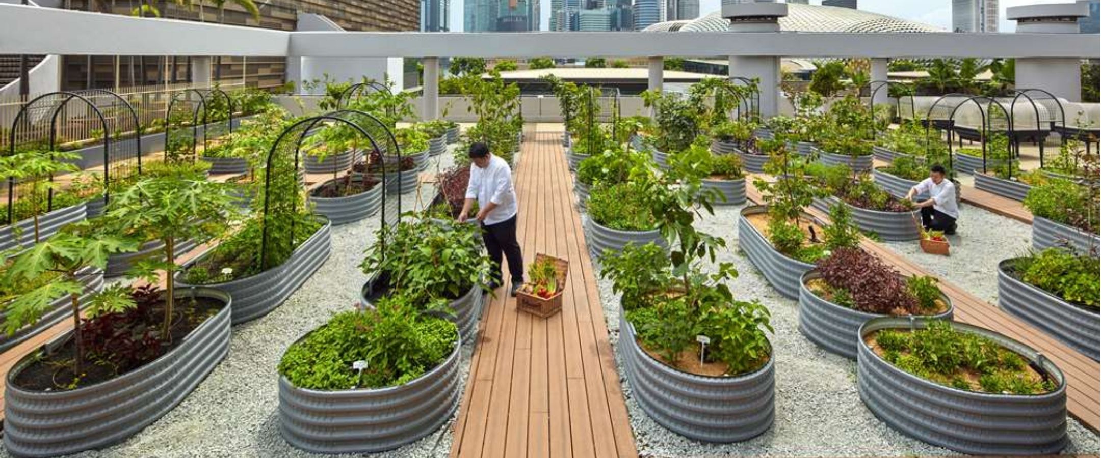 Urban Farm