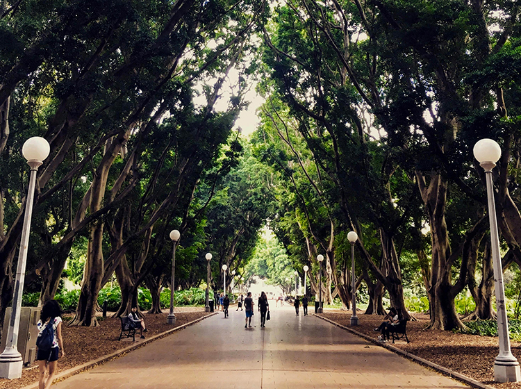 Hyde Park, Sydney | Photo by Olya