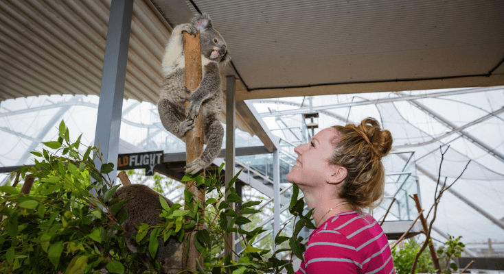 WILD LIFE Sydney Zoo