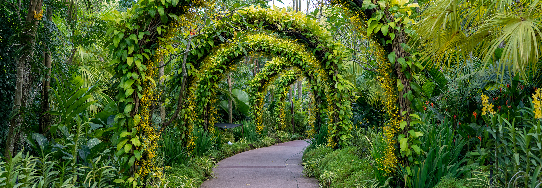 botanical gardens singapore