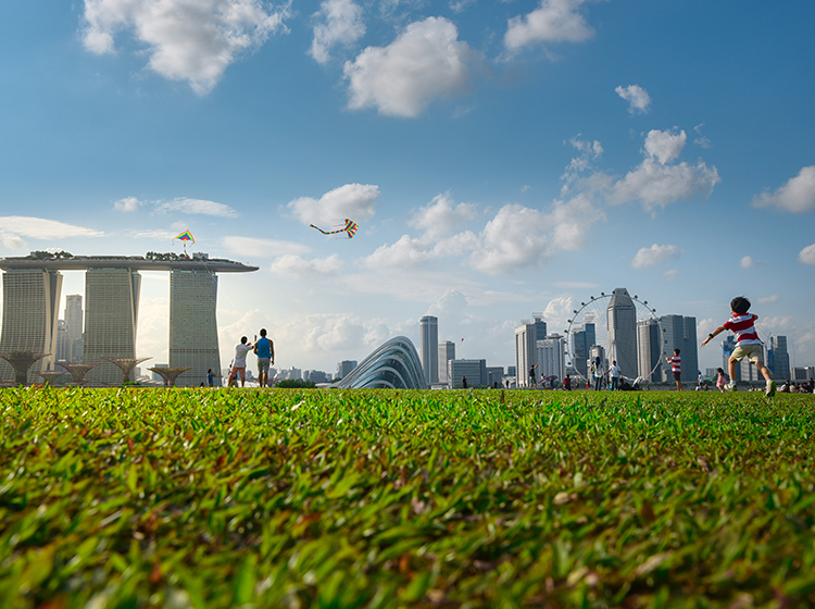 marina barrage