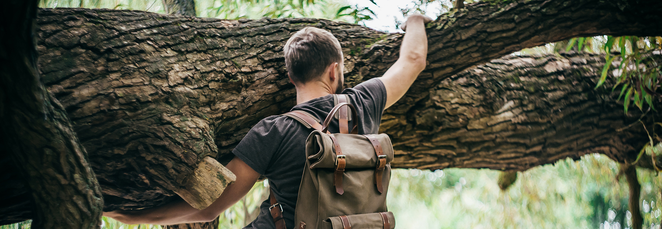 tree climbing