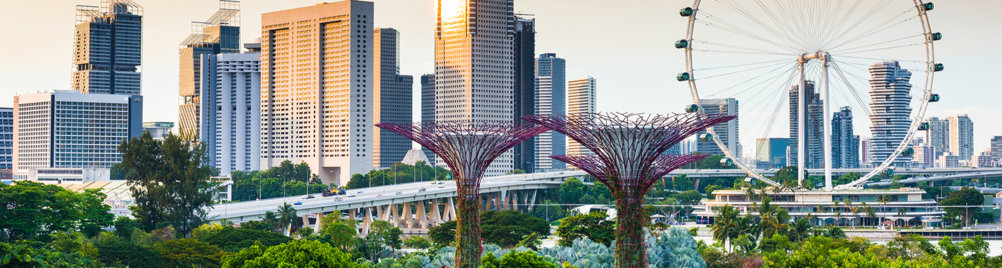 Singapore Flyer with Business District in the background