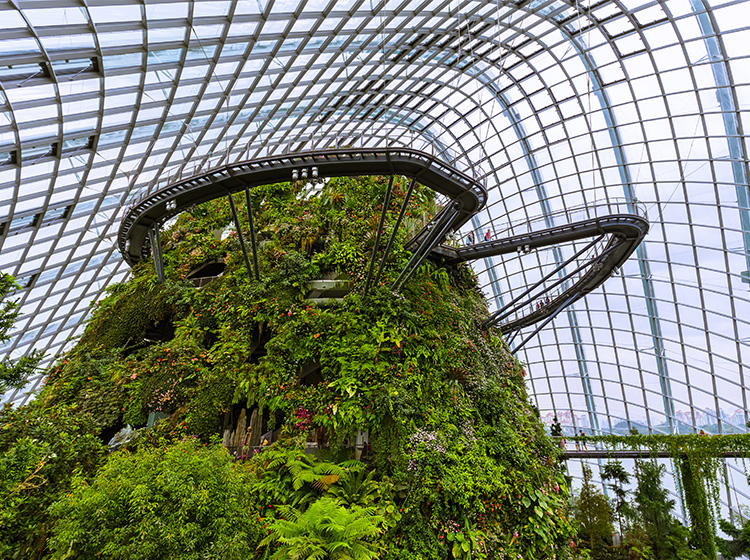 Cloud Forest at Gardens by the Bay