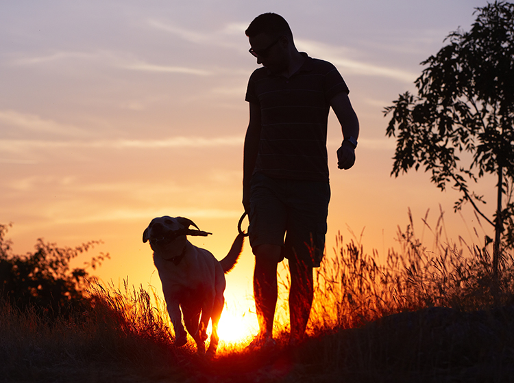 man walking a dog