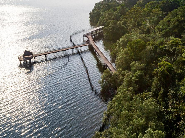 sungei buloh