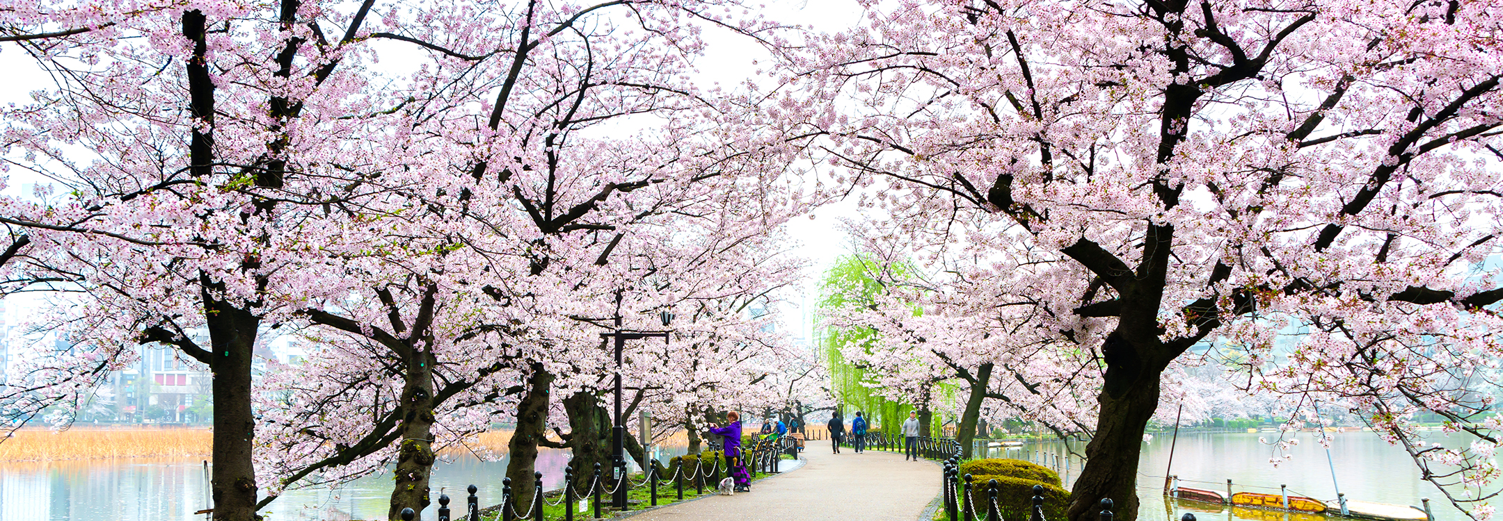 Ueno park Tokyo Japan