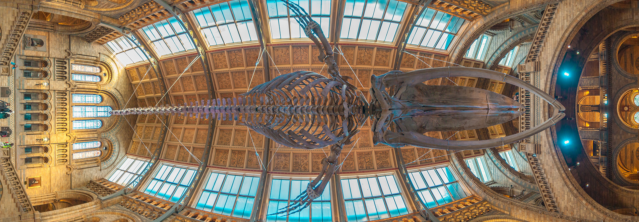 Natural History Museum London