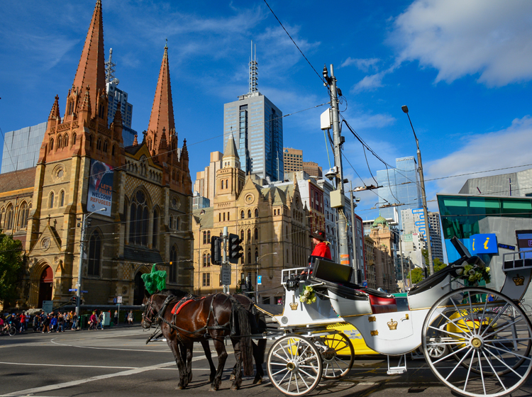 horse carriage ride in melbourne city