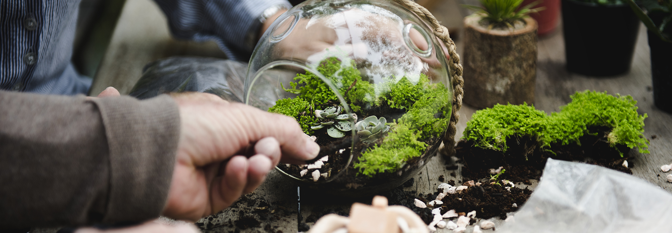 DIY terrarium