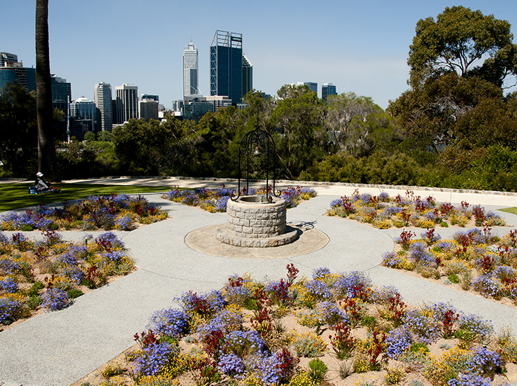 Kings Park Botanical Garden