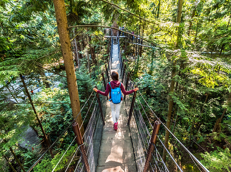 capilano suspension bridge vancouver