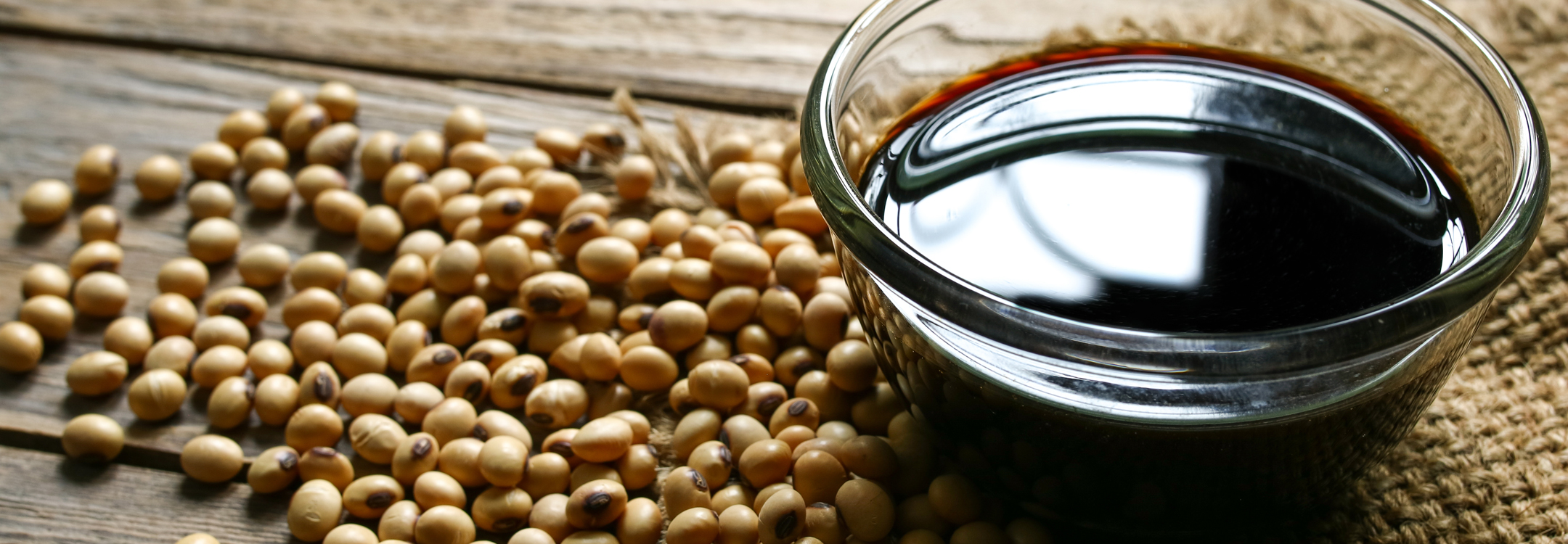 soy sauce with soy beans