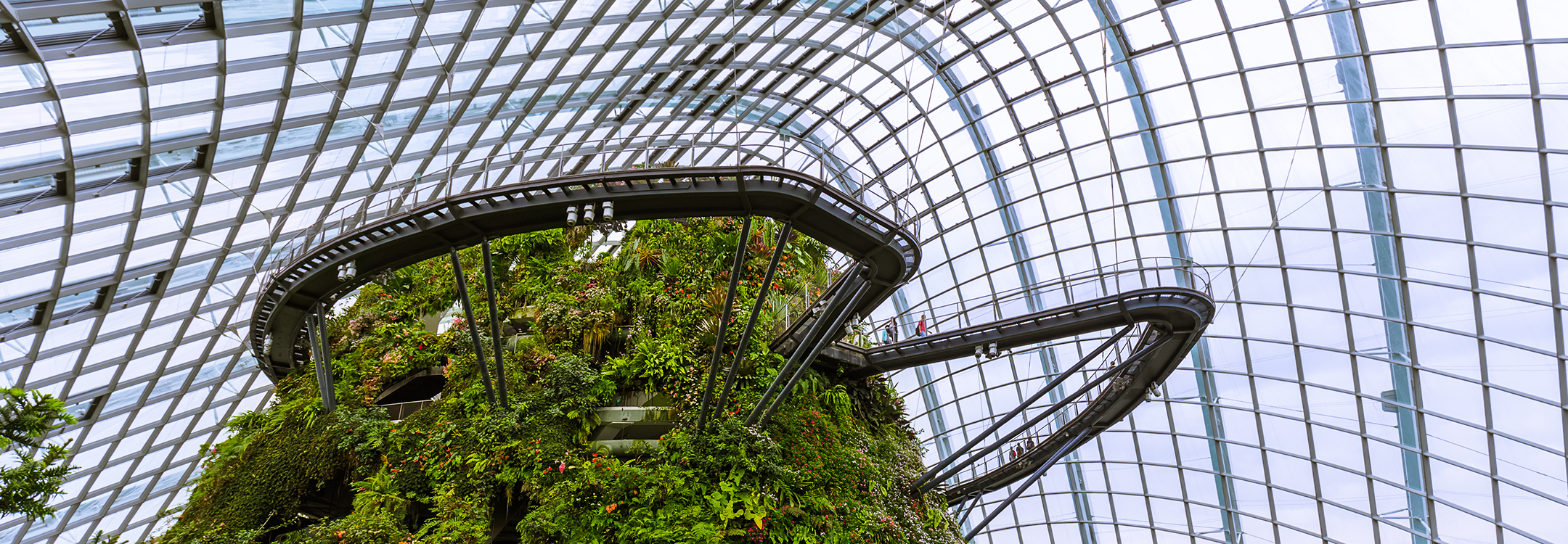Cloud Forest Dome at Gardens by the Bay