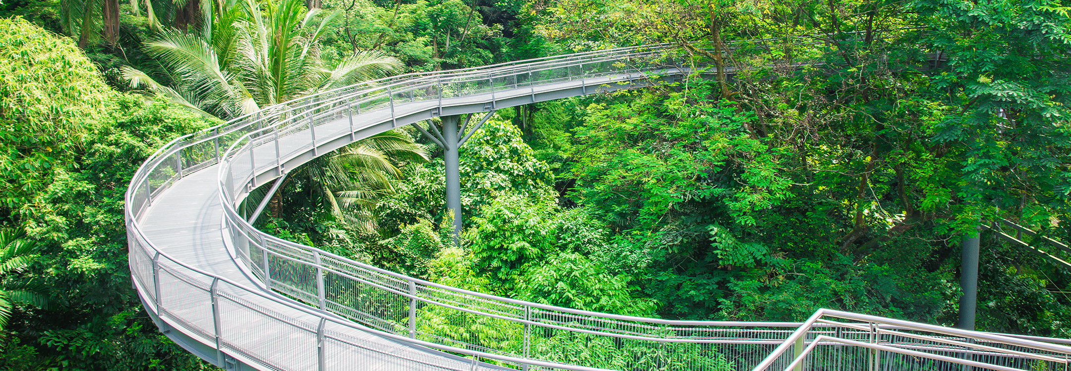 southern ridges