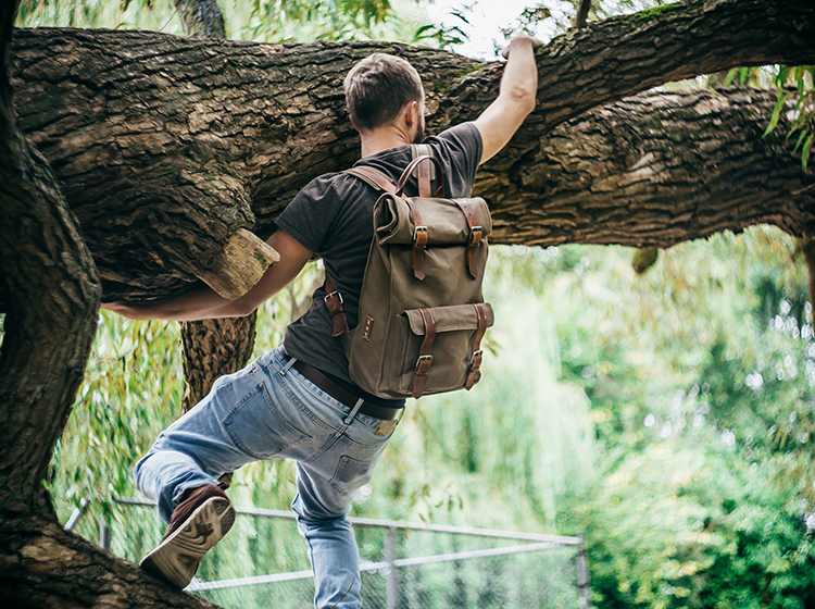 tree climbing