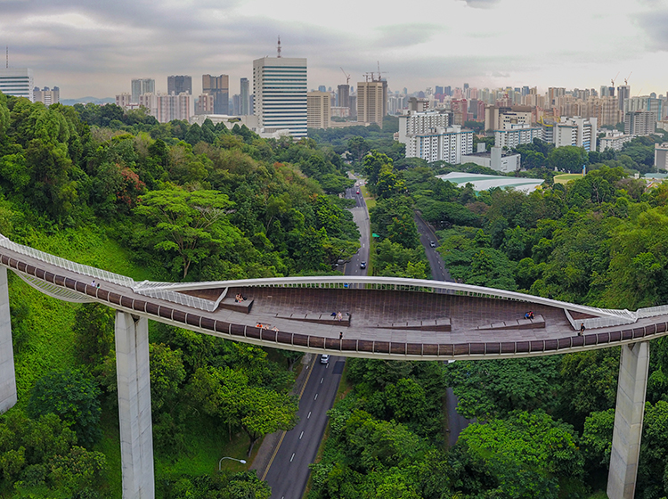 Aerial view of Henderson Waves