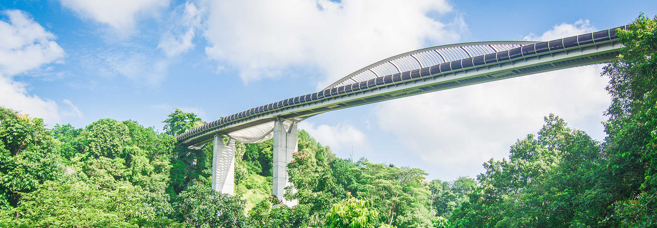 view of Henderson Waves bridge from below